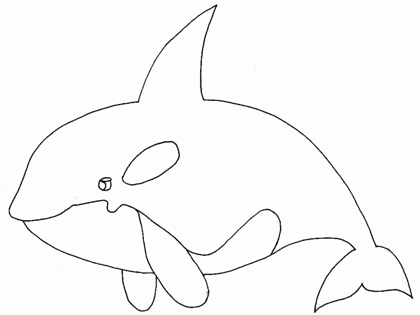 dibujos-colorear-orcas