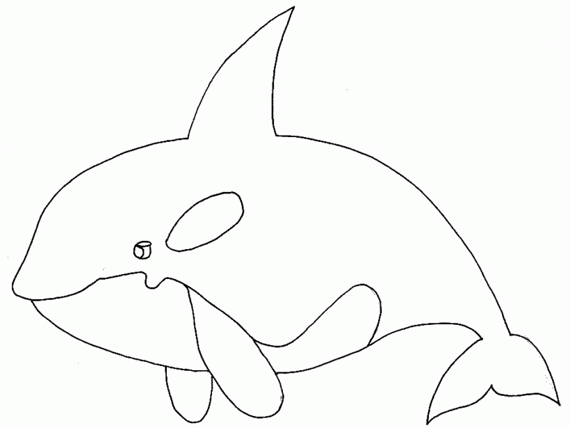 Dibujos de ballenas orcas » ORCAPEDIA